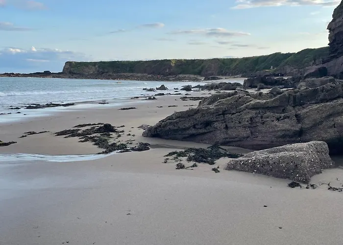 Vakantiehuis Sandeel Bay Fethard-on-Sea